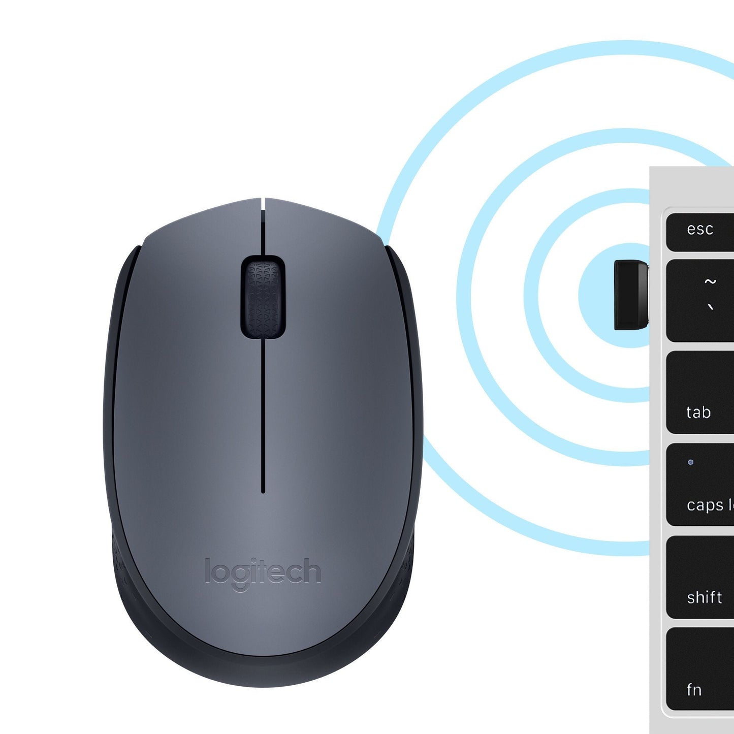 Souris sans fil Logitech M170 - USB (910-004642)