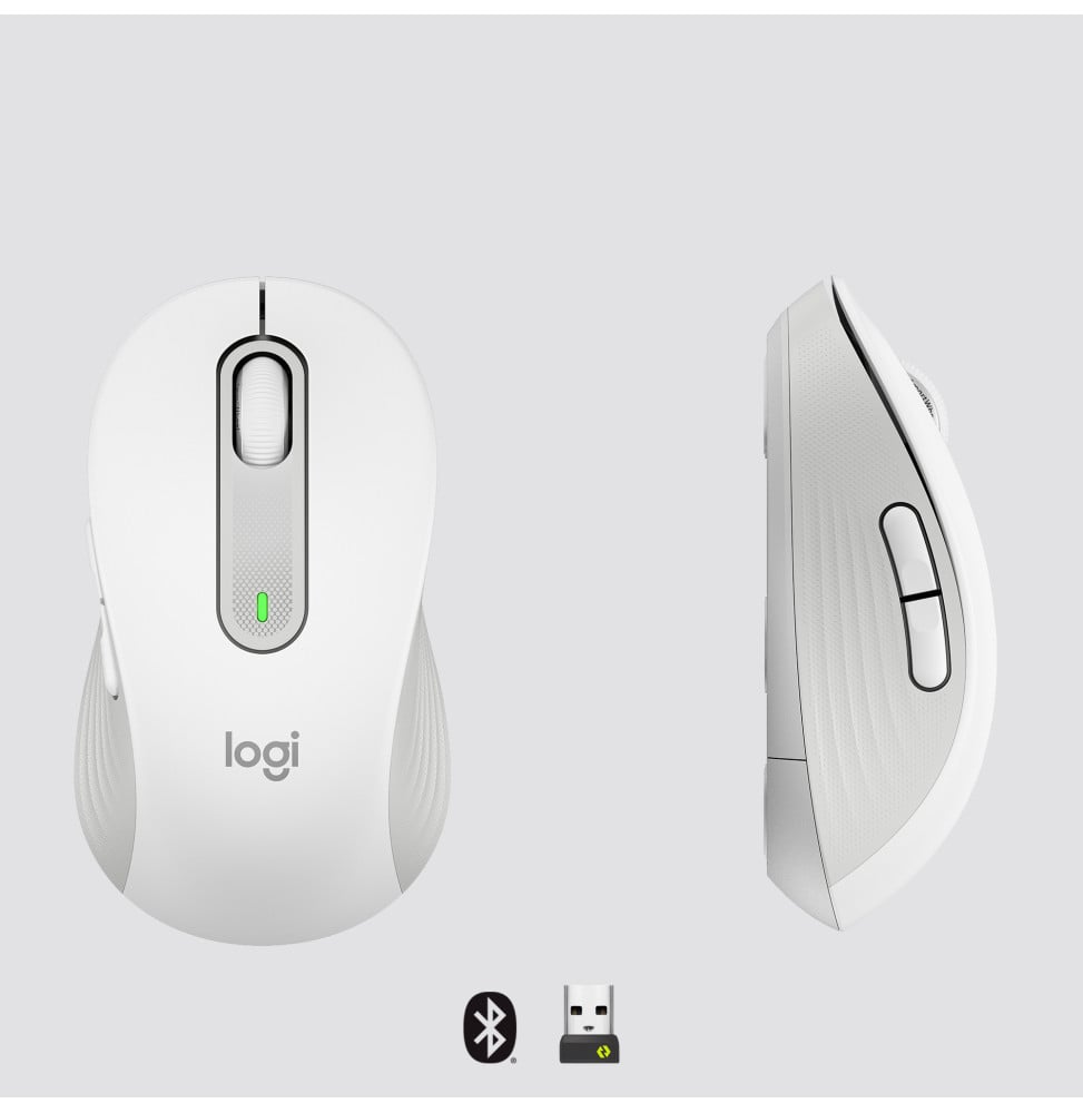 Logitech Signature M650 souris Droitier RF sans fil + Bluetooth Optique 2000 DPI (910-006255)