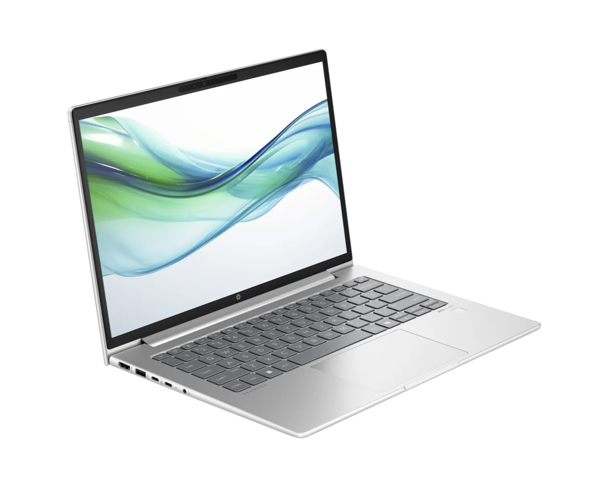 Ordinateur portable HP ProBook 440 G11 (969J1ET)