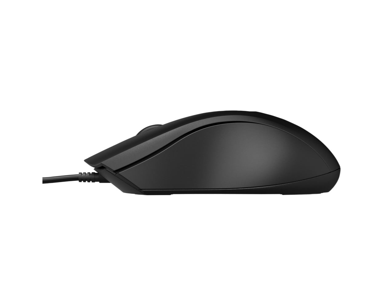 Souris filaire 100 HP (6VY96AA)