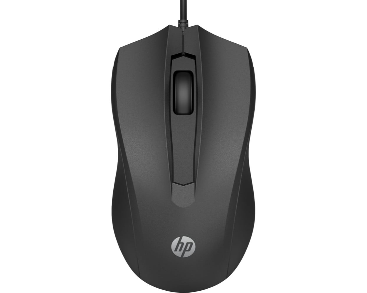 Souris filaire 100 HP (6VY96AA)
