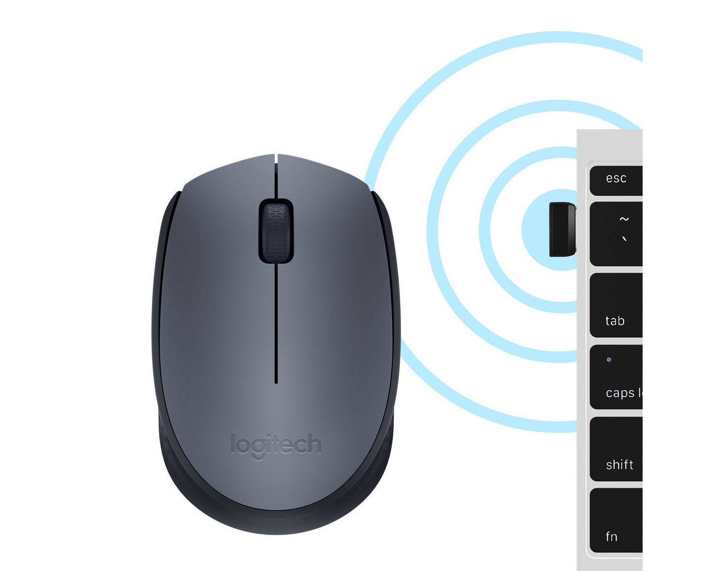 Souris sans fil Logitech M170 - USB (910-004642)